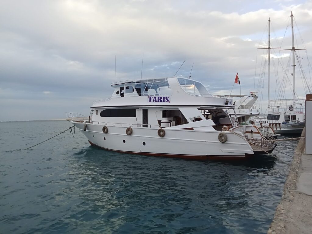 Private Boat Trip in the Red Sea