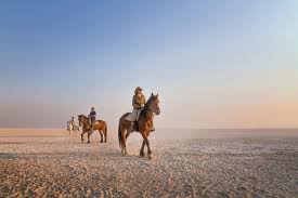 Horseback Riding Safari — photo 1