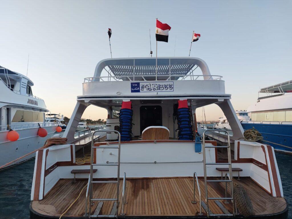 Private Boat Trip in the Red Sea — photo 1